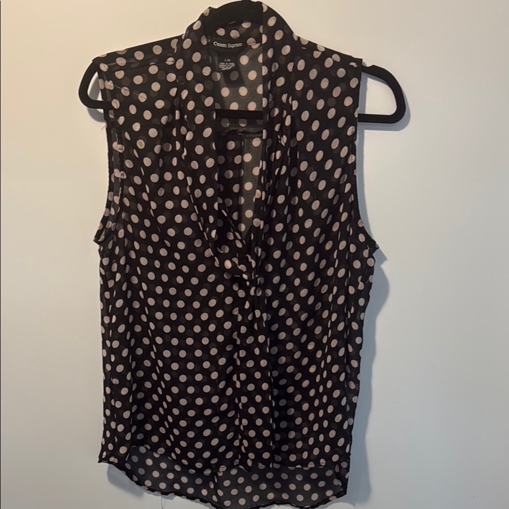Cotton Express Black and White sheer Blouse